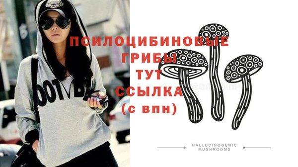 спиды Абаза
