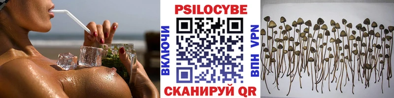 Псилоцибиновые грибы прущие грибы  Кизилюрт 