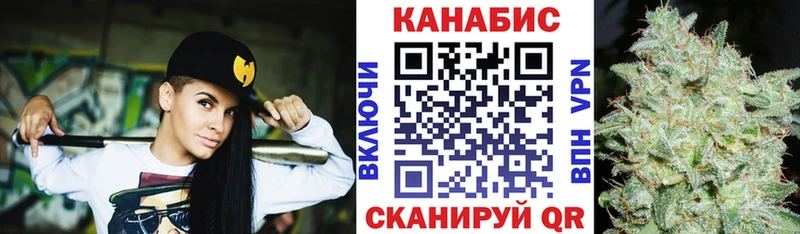 дарнет шоп  Кизилюрт  МАРИХУАНА сатива 